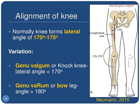 biomechanics testing machine for knee bending|Biomechanical Analysis of the Knee Joint during Deep .